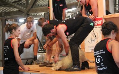 Record de France de tonte de moutons – Le Dorat (08/07/17)