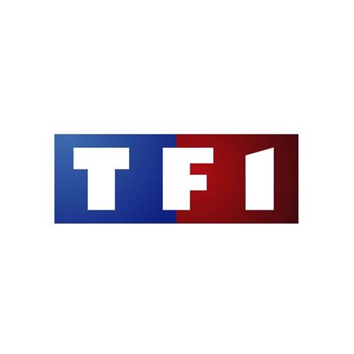 TF1 : Tonte de moutons, la course au record