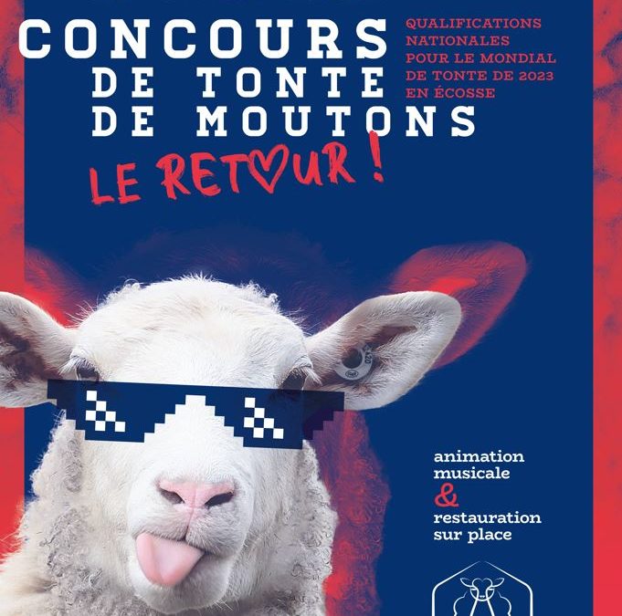 123 – Dossier de Presse : Concours national de tonte de moutons et tri de laine 2022